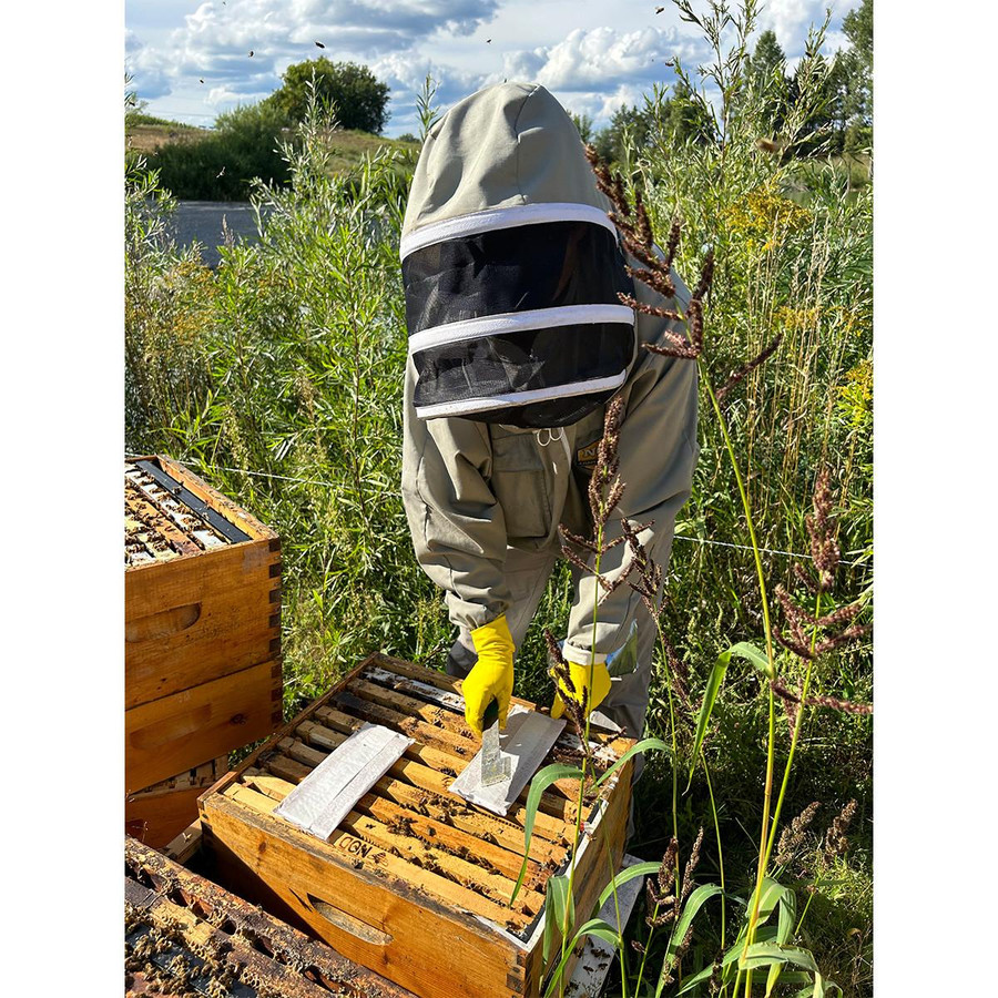 Formic Pro - Varroa Treatment,Z612, Mann Lake Ltd. Formic Pro - Varroa Treatment,Z612, Mann Lake Ltd.