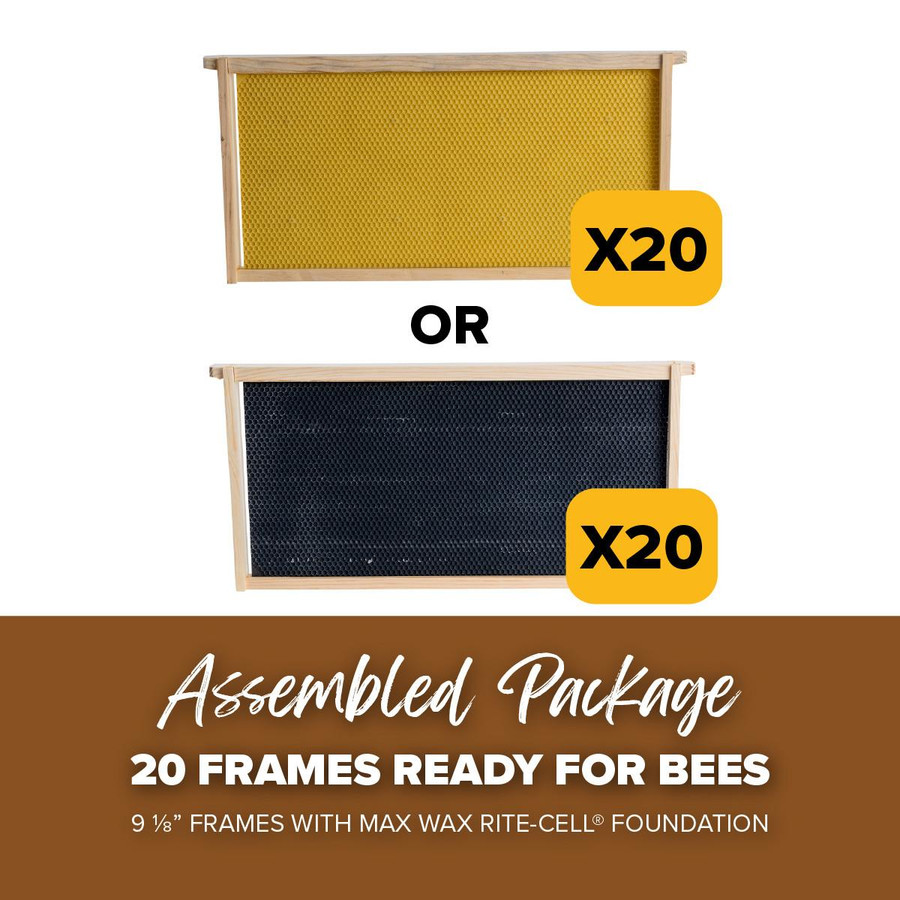 9 1/8" Assembled Frames with Natural Max Wax Rite-Cell Premium Foundation, Case of 20,WW903, Mann Lake Ltd.