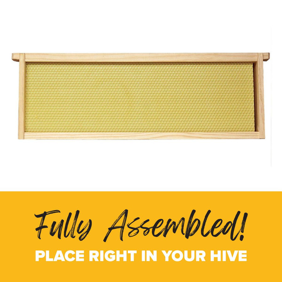 6 1/4" Assembled Frames with Natural Max Wax Rite-Cell Premium Foundation, Case of 20,WW922, Mann Lake Ltd.