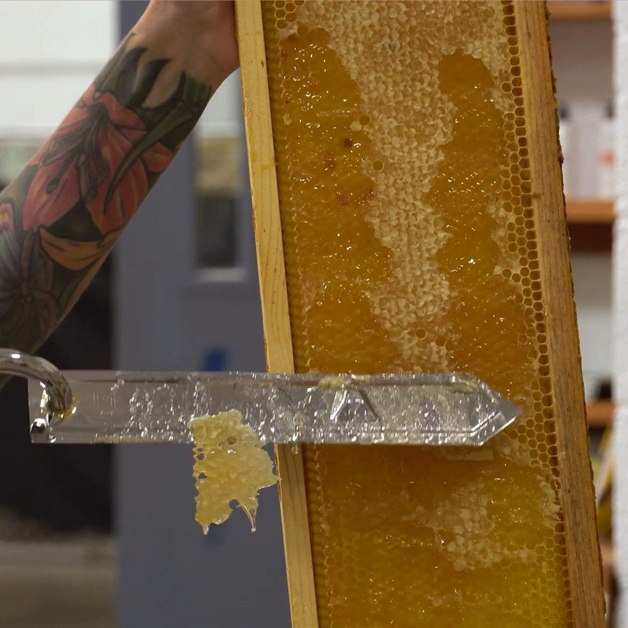 6 1/4" Assembled Frames with Natural Max Wax Rite-Cell Premium Foundation, Case of 20,WW922, Mann Lake Ltd.