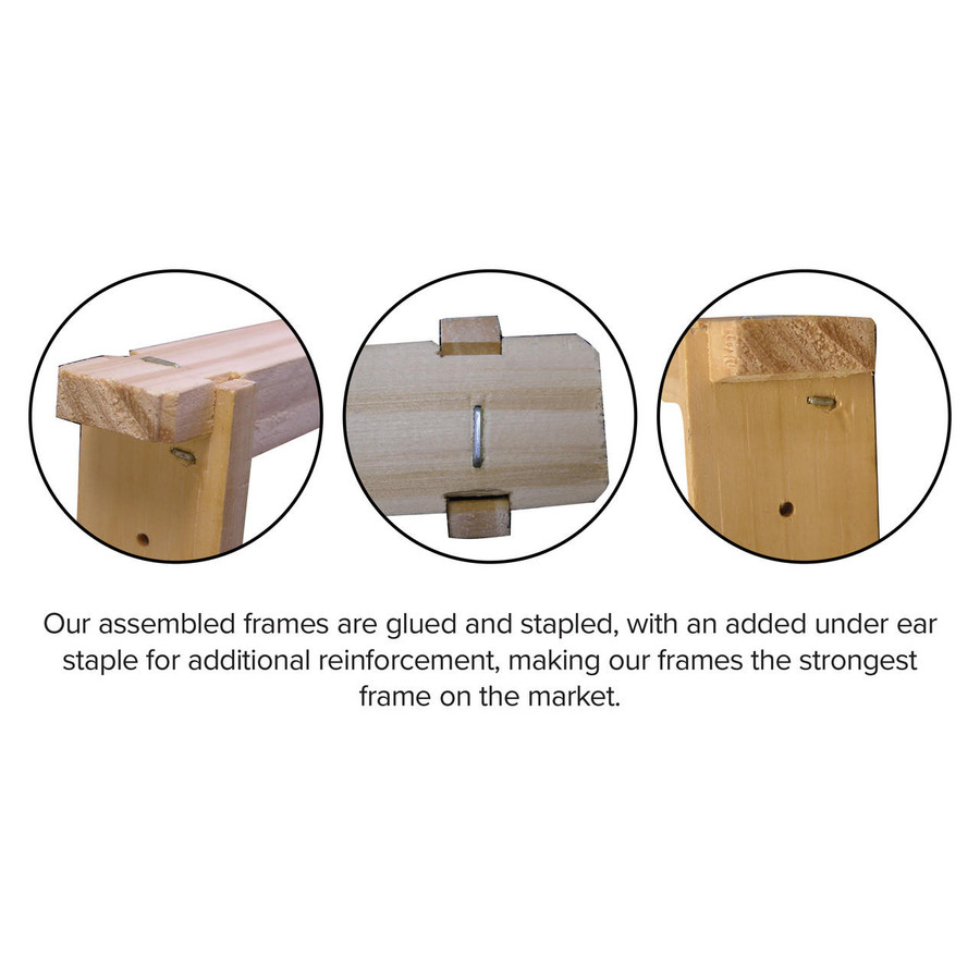 6 1/4" Assembled Frames with Natural Max Wax Rite-Cell Premium Foundation, Case of 20,WW922, Mann Lake Ltd. 6 1/4" Assembled Frames with Natural Max Wax Rite-Cell Premium Foundation, Case of 20,WW922, Mann Lake Ltd.