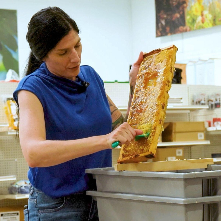 5 5/8" Waxed Rite-Cell Foundation, Natural or Black, Case of 10,Z153, Mann Lake Ltd.