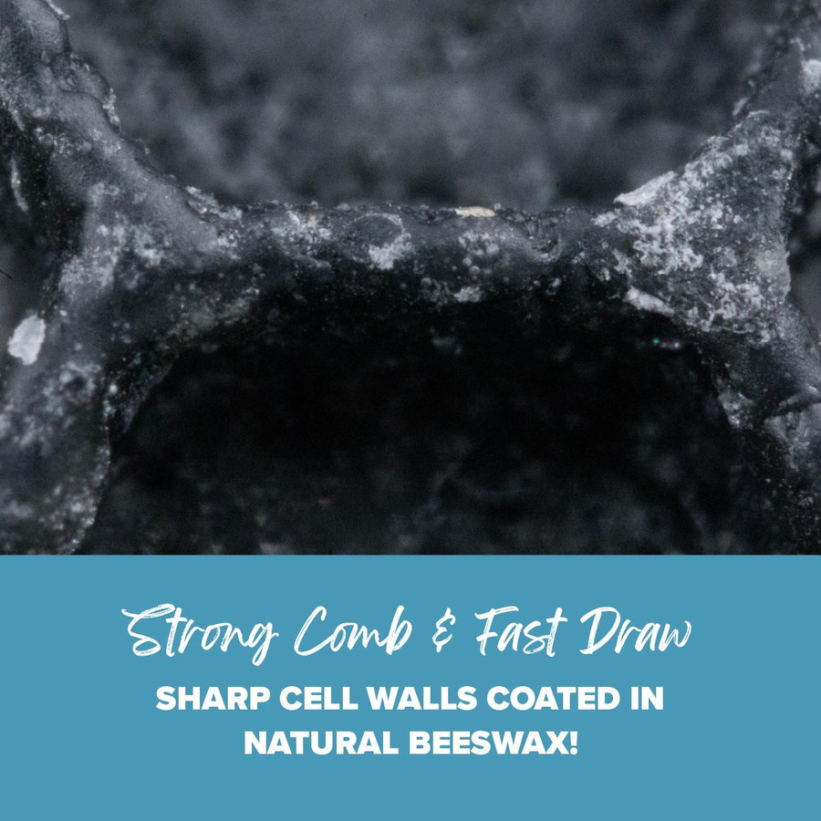 9 1/8" Black Assembled Frames with Waxed Rite-Cell® Foundation, case of 20,WW895, Mann Lake Ltd.