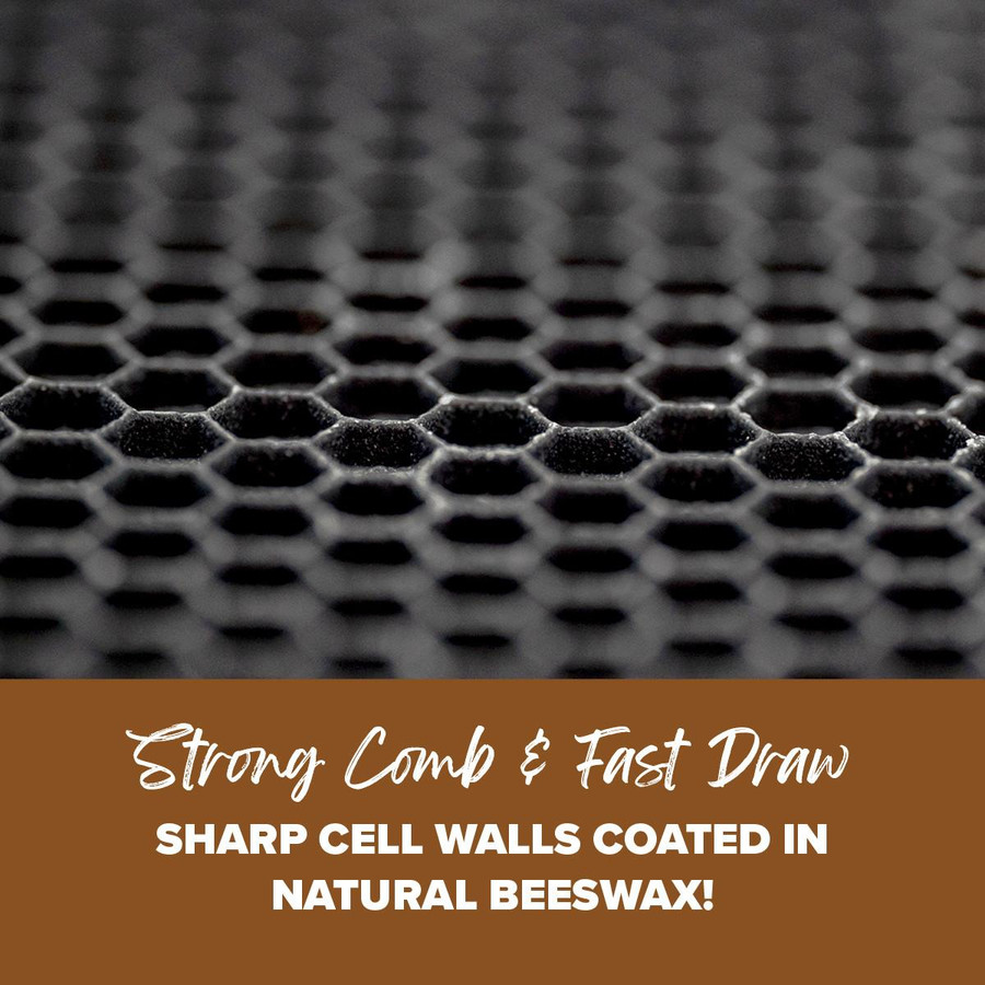 6 1/4" Black Assembled  Frames With Waxed Rite-Cell® Foundation, case of 20,WW938, Mann Lake Ltd.