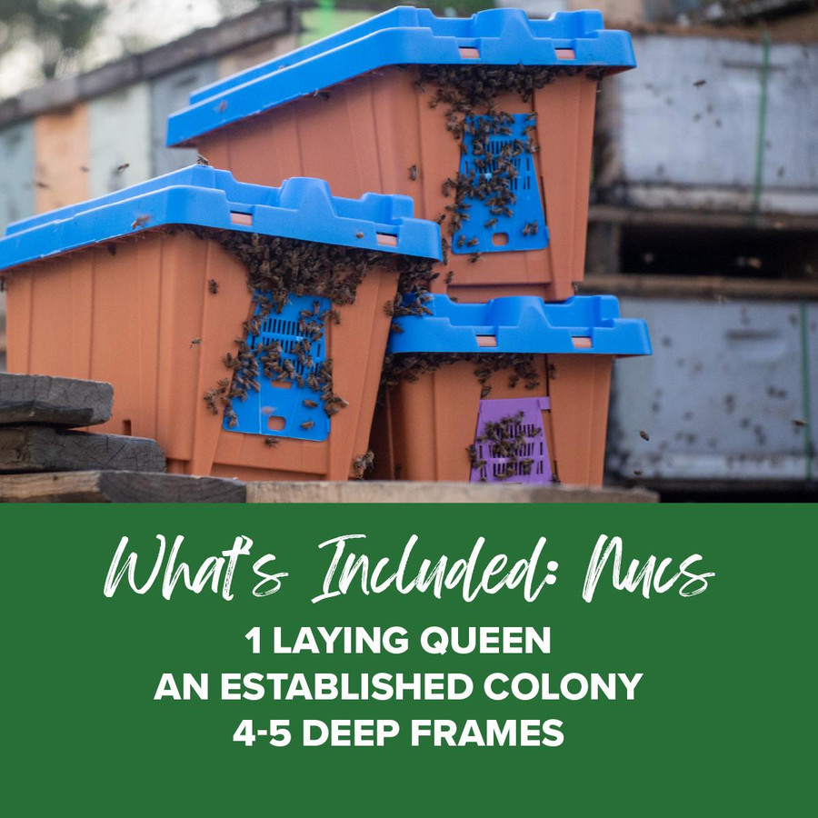 What's Included, BE226 PU, Mann Lake Ltd.