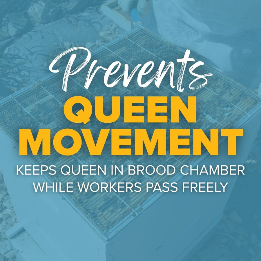 Queen Excluder 10 Frame,Z158, Mann Lake Ltd.