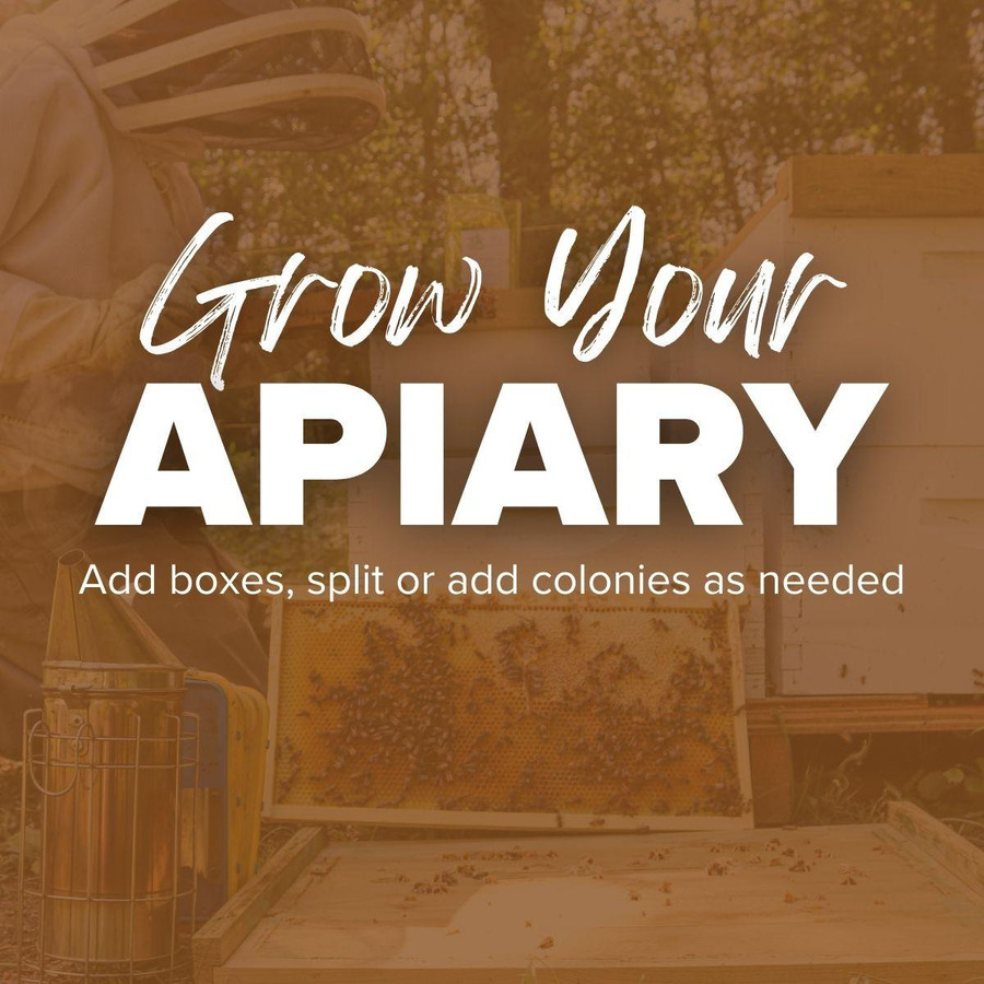 10 Frame 6 5/8" Growing Apiary Kit,Z533, Mann Lake Ltd.