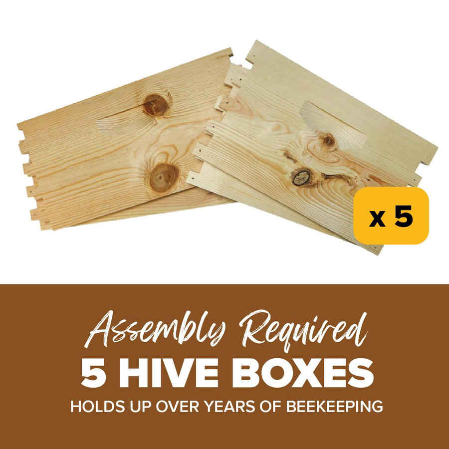 Unassembled 9 5/8" Budget Grade Deep Hive Box, Case of 5,Z805, Mann Lake Ltd.