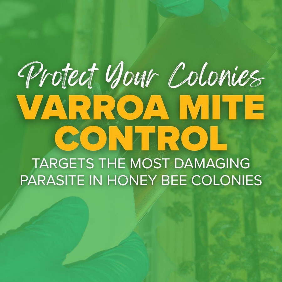 Apistan Anti-Varroa Mite Strip, 10 pack,DC665, Mann Lake Ltd.