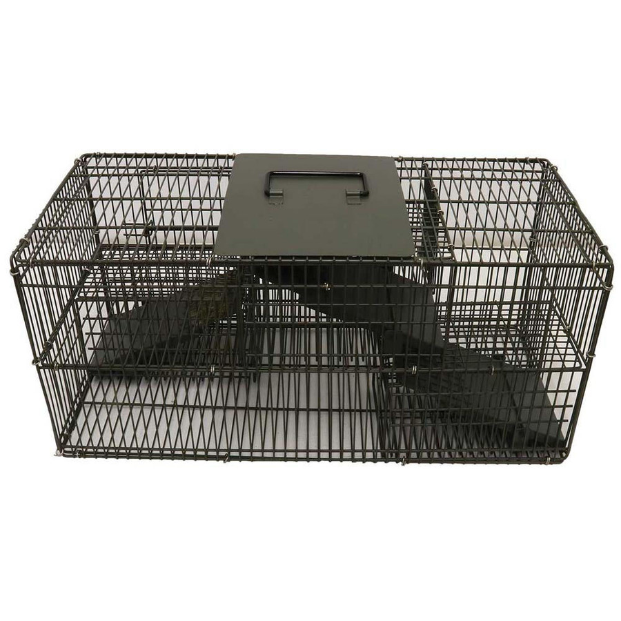 Repeating Mouse & Rat Trap | Mann Lake Ltd.