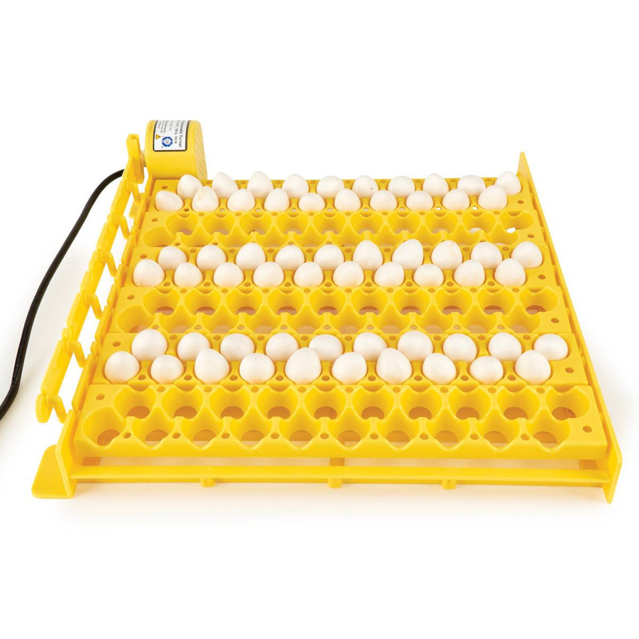 GQF 1610 Hova-Bator Automatic Egg Turner with Quail and Universal "Chicken Egg" Racks GQF 1610 Hova-Bator Automatic Egg Turner with Quail and Universal "Chicken Egg" Racks