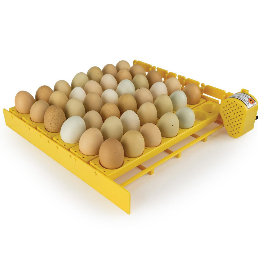 GQF 1611 Hova-Bator Automatic Egg Turner with Universal Rack GQF 1611 Hova-Bator Automatic Egg Turner with Universal Rack