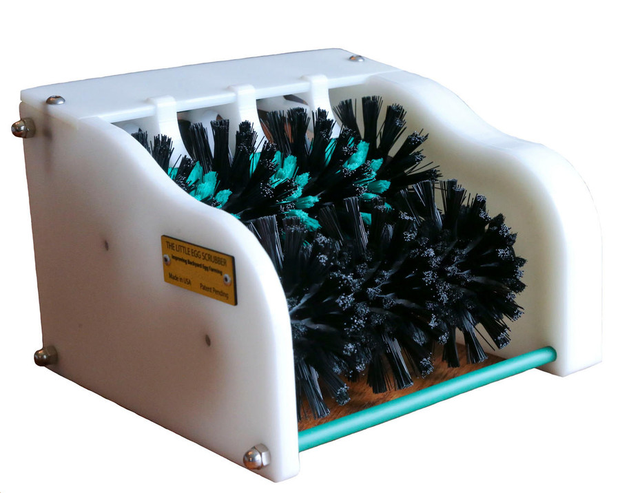 Little Egg Scrubber Little Egg Scrubber