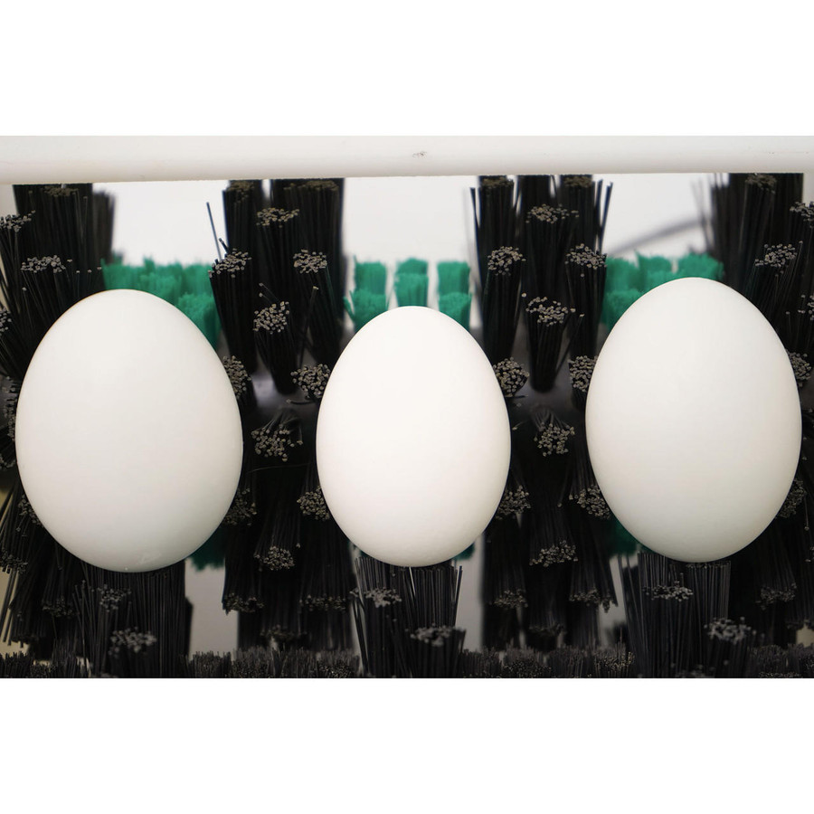 Little Egg Scrubber Little Egg Scrubber