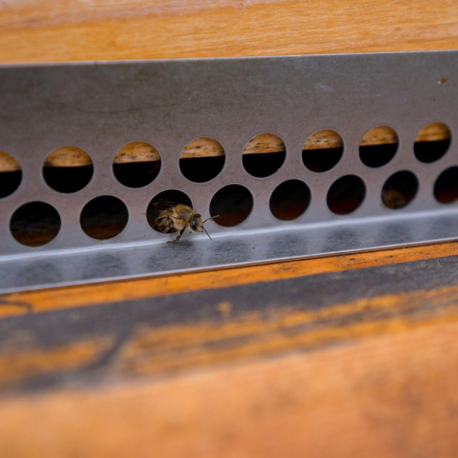 10 Frame Mouse Guard,HD591, Mann Lake Ltd.
