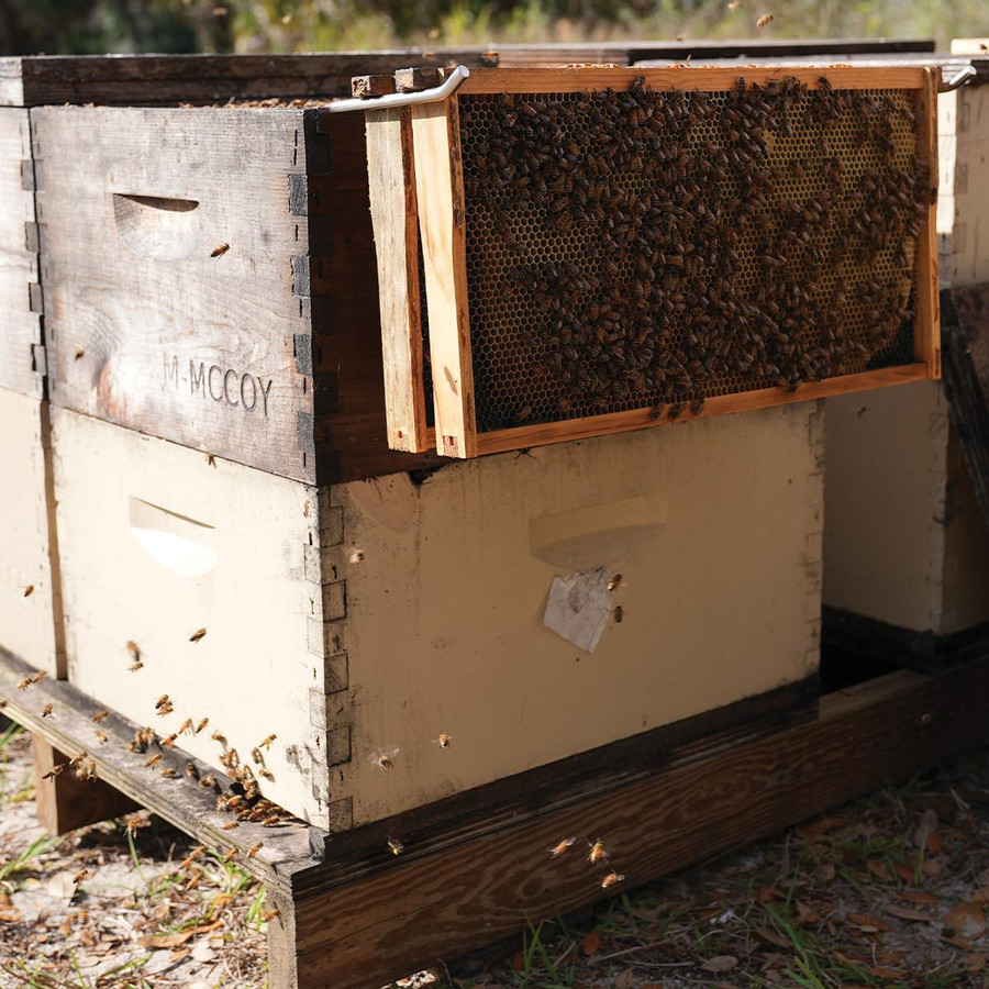 Frame Perch,HD650, Mann Lake Ltd. Frame Perch,HD650, Mann Lake Ltd.