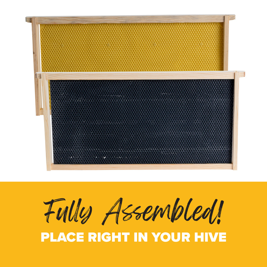 9 1/8" Assembled  Frames with Waxed Rite-Cell Foundation, 10 Pack,Z850, Mann Lake Ltd.