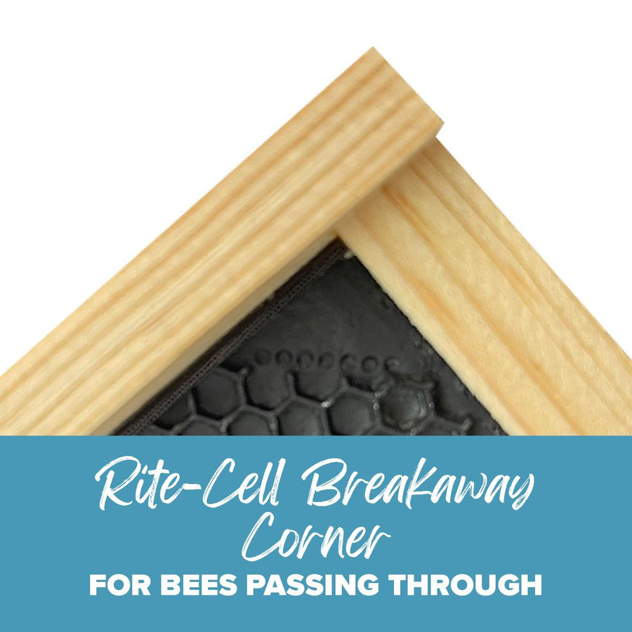 9 1/8" Assembled  Frames with Waxed Rite-Cell Foundation, 10 Pack,Z850, Mann Lake Ltd.