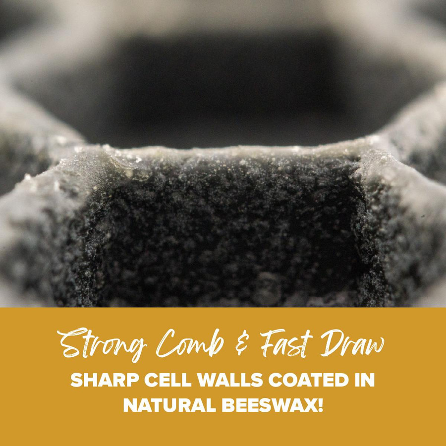 9 1/8" Assembled  Frames with Waxed Rite-Cell Foundation, 10 Pack,Z850, Mann Lake Ltd.