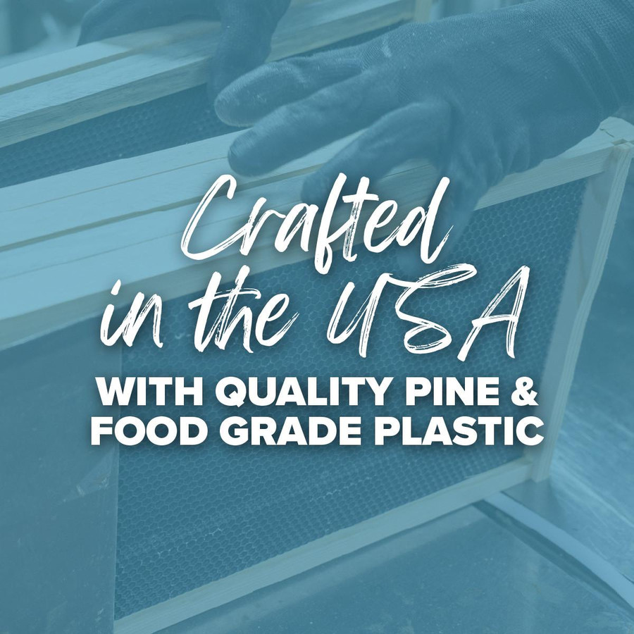 9 1/8" Assembled  Frames with Waxed Rite-Cell Foundation, 10 Pack,Z850, Mann Lake Ltd.