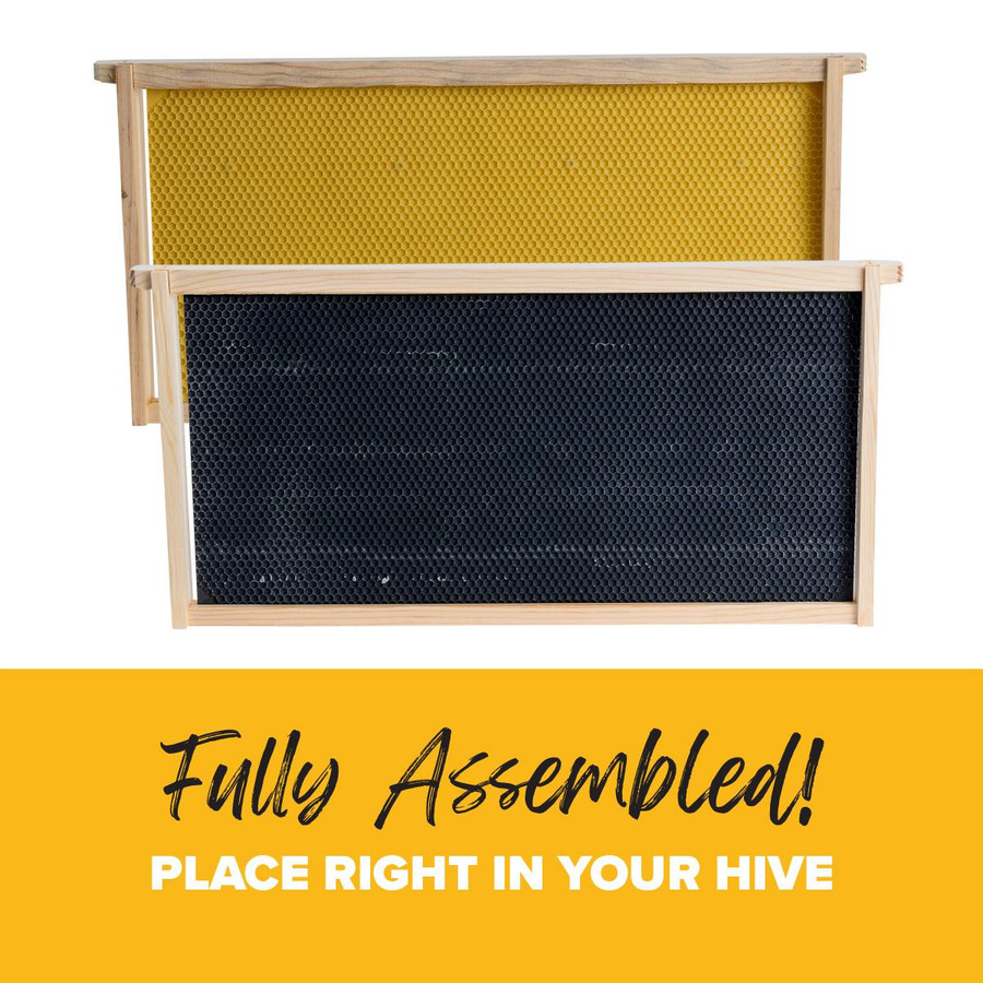 9 1/8" Assembled  Frames with Waxed Rite-Cell Foundation, 10 Pack,Z850, Mann Lake Ltd.