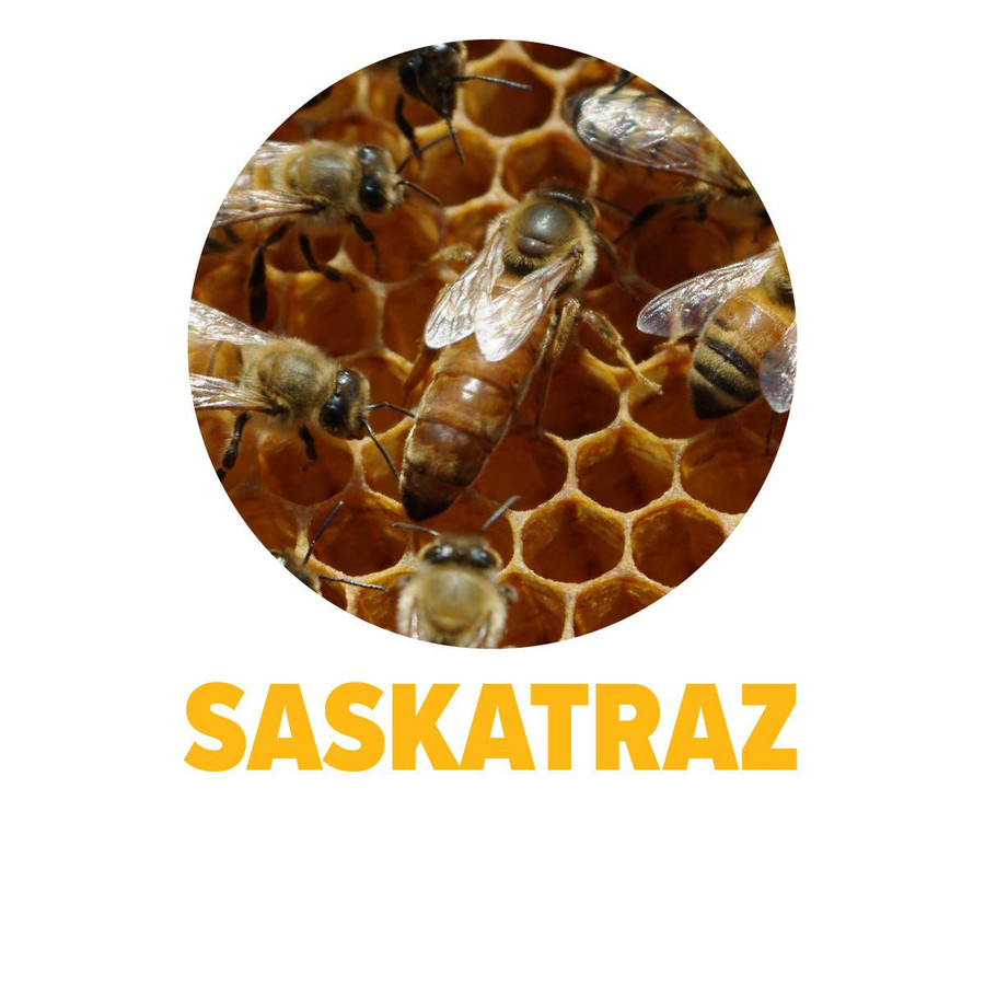 Saskatraz Package Bees