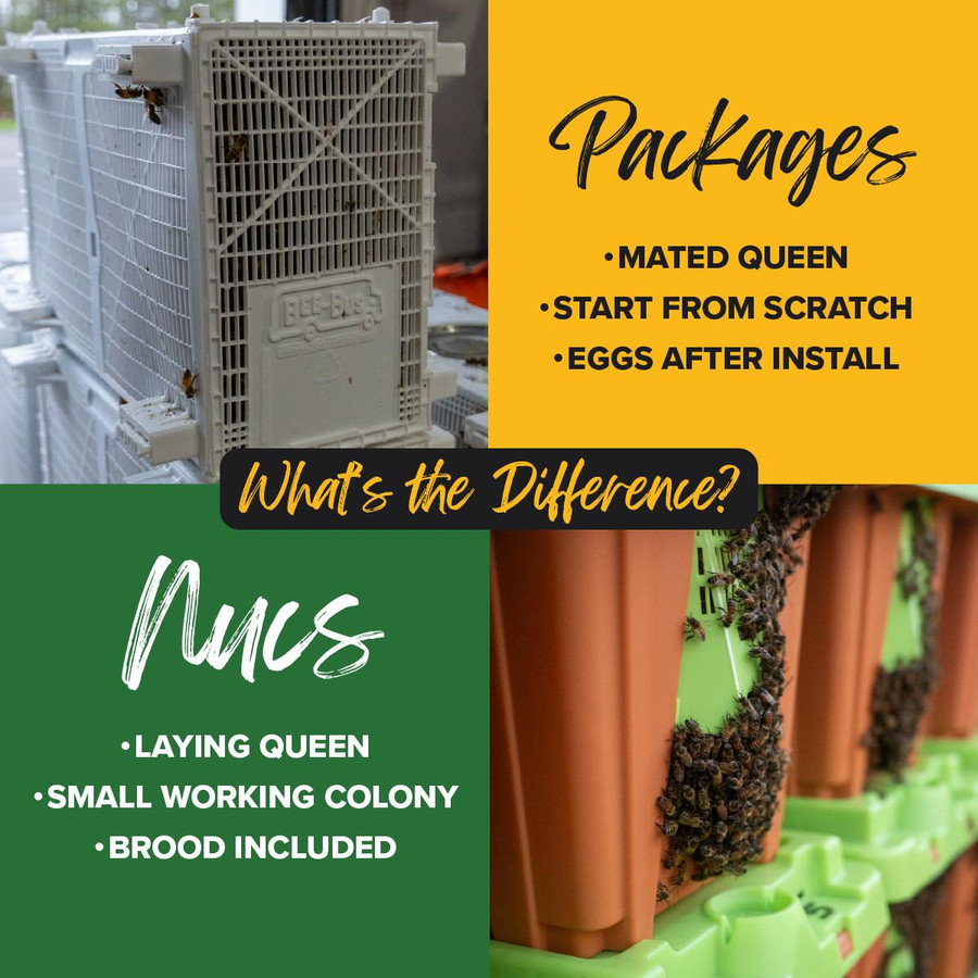 Purebred Russian Package Bees, BE303, Mann Lake Ltd.