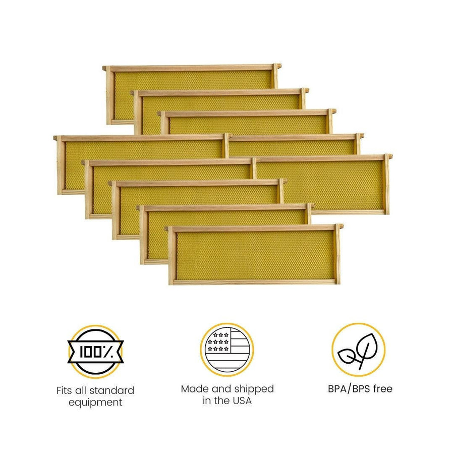 6 1/4" Natural Assembled Frames with Waxed Rite-Cell® Foundation, case of 20,WW928, Mann Lake Ltd. 6 1/4" Natural Assembled Frames with Waxed Rite-Cell® Foundation, case of 20,WW928, Mann Lake Ltd.