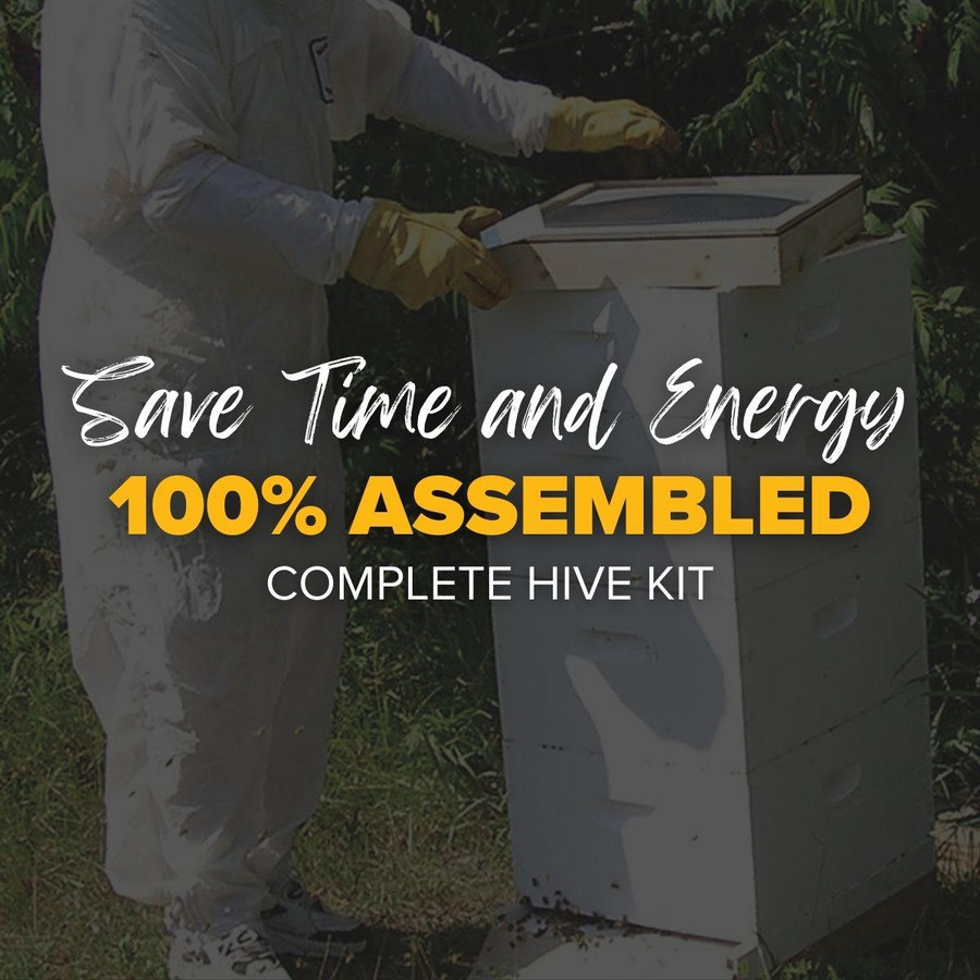 My Next Hive, Assembled, MB110, Mann Lake Ltd.