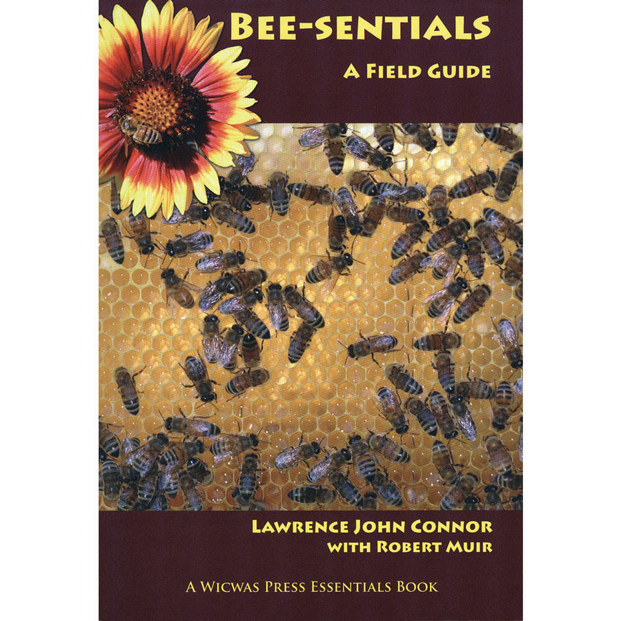 Bee-sentials: A Field Guide Bee-sentials: A Field Guide