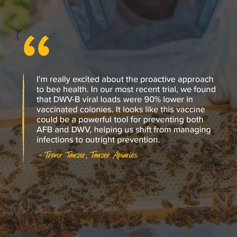 California Italian Package with Vaccinated Queen