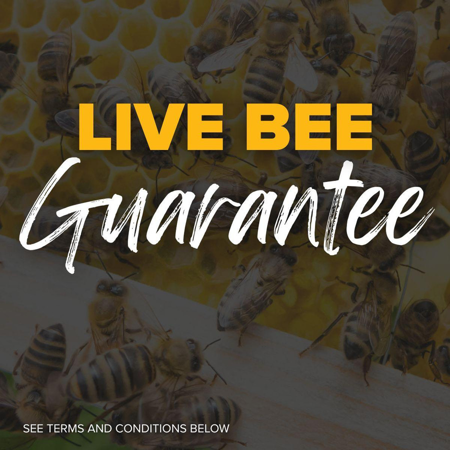 California Italian Package Bees with Vaccinated Queen, BE322, Mann Lake Ltd.
