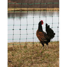 Positive/Negative Electric Fencing 48" H  x 164' L