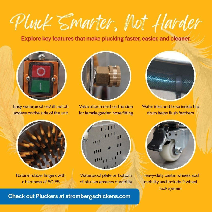 Stainless Steel Plucker, Medium Stainless Steel Plucker, Medium