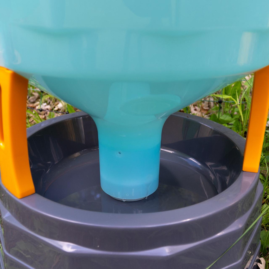 close up of basin of automatic waterer close up of basin of automatic waterer