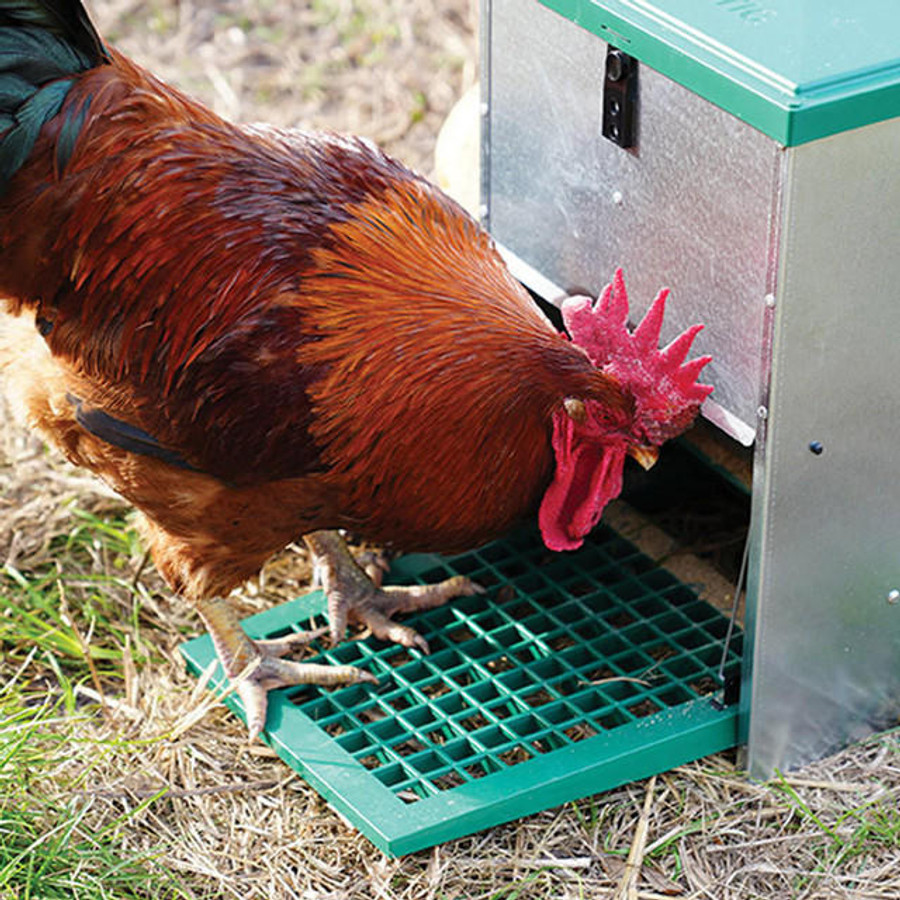Automatic Chicken & Duck Treadle Feeder - Feedomatic 26 Pounds