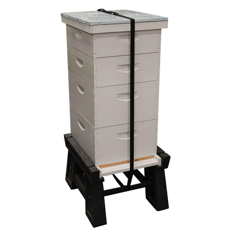 D Ring 12' (3.66 m) Pallet Strap,HD830, Mann Lake Ltd.