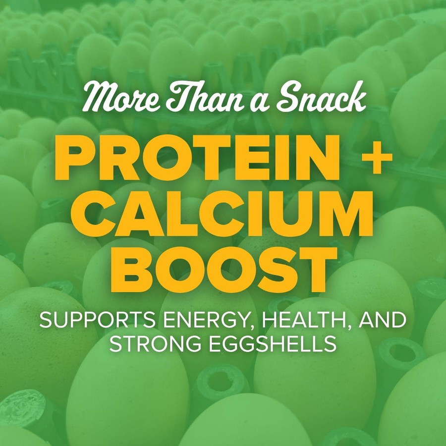 Chicken Treat Bundle, SB103, Mann Lake Ltd.