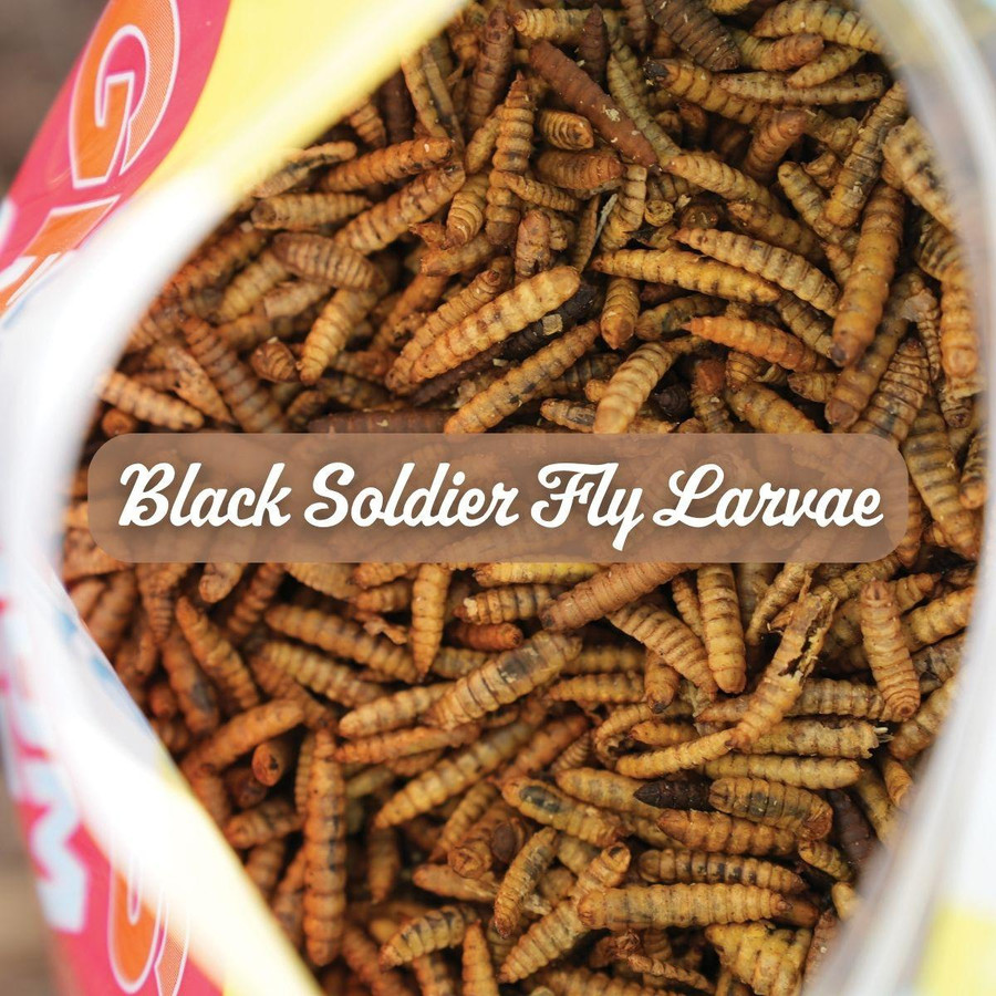 Chicken Treat Bundle, SB103, Mann Lake Ltd.