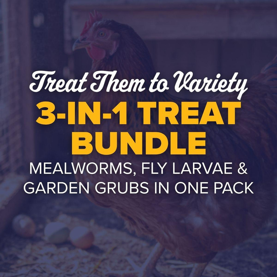 Chicken Treat Bundle, SB103, Mann Lake Ltd.