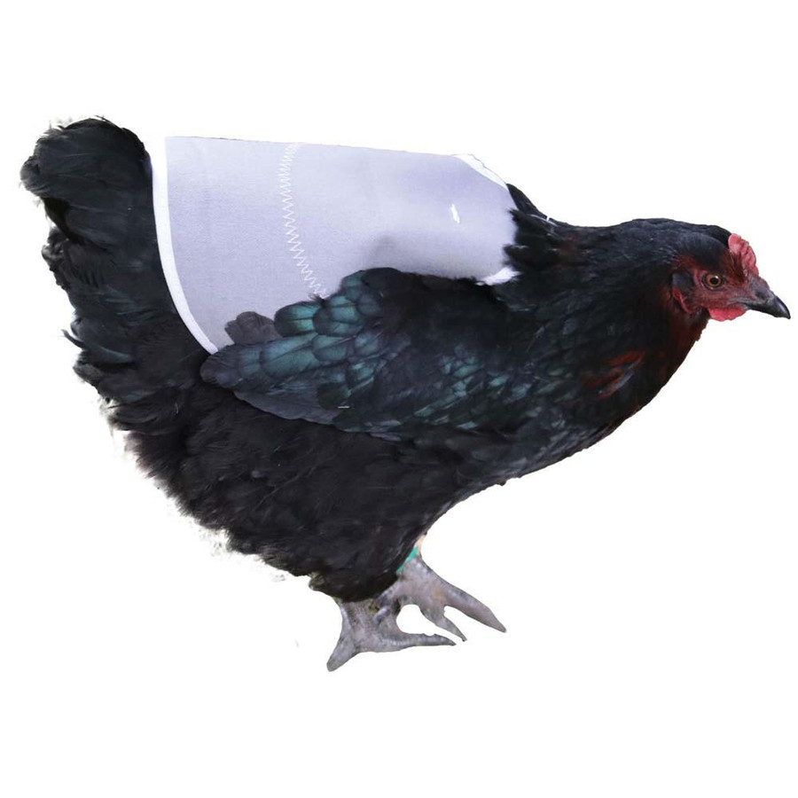 Poultry Breeding Saddle Poultry Breeding Saddle