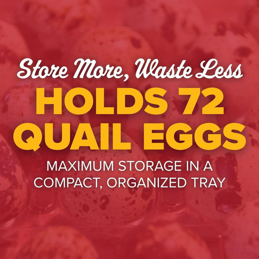 Plastic Quail Egg Tray, PP251, Mann Lake Ltd.