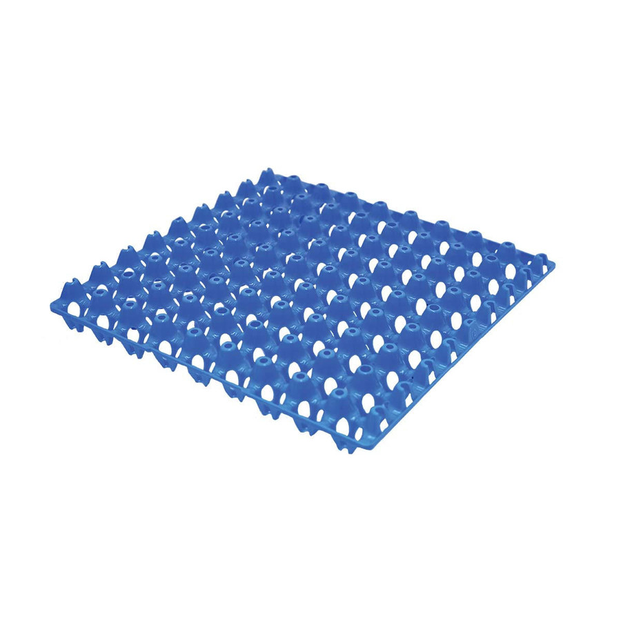 Plastic Quail Egg Tray
