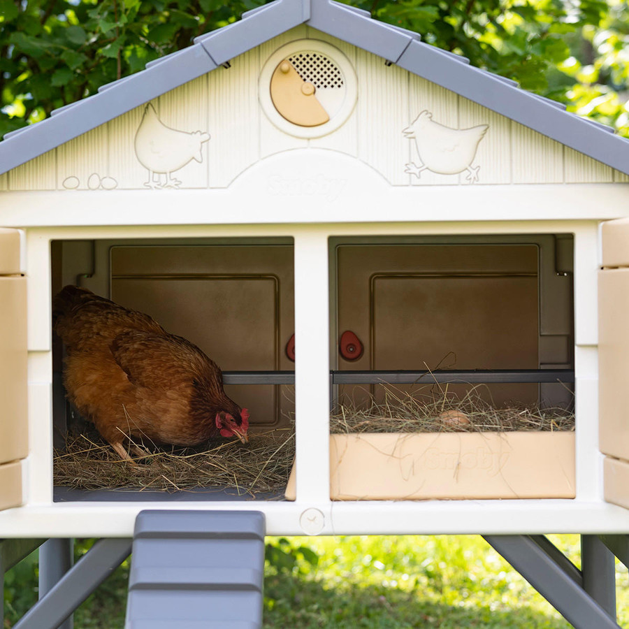 My First Chicken Coop My First Chicken Coop