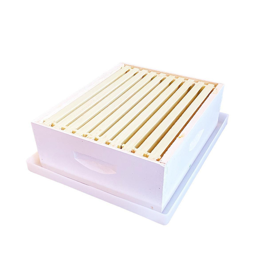 Hive Drip Tray, Tradeshow Special Hive Drip Tray, Tradeshow Special
