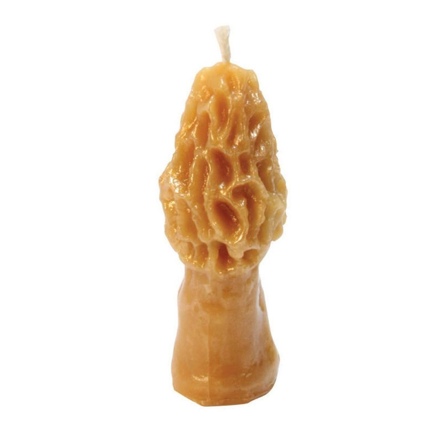 Morel Mushroom Beeswax Candle Mold,Z325, Mann Lake Ltd. Morel Mushroom Beeswax Candle Mold,Z325, Mann Lake Ltd.