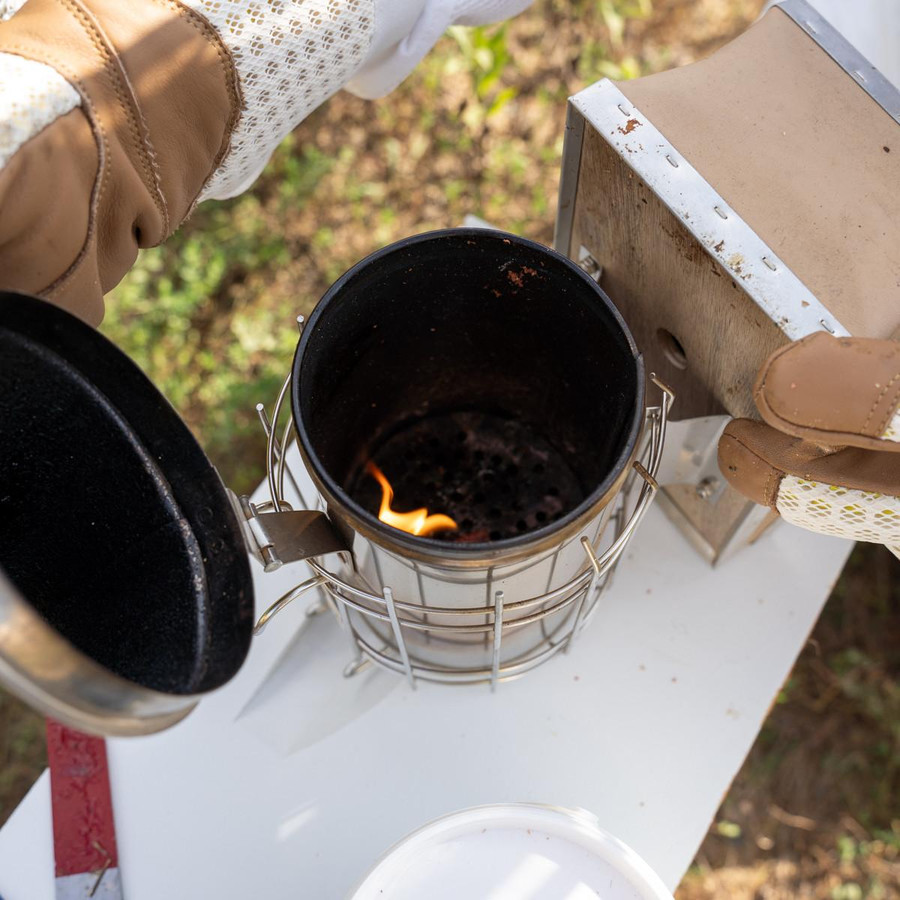 BeeSTART Smoker Starter