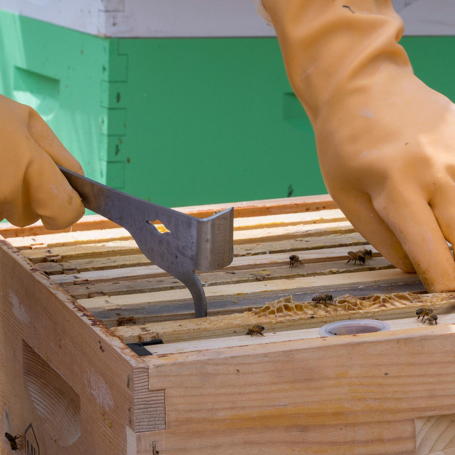 Multifunctional Hive Tool, HD006, Mann Lake Ltd.