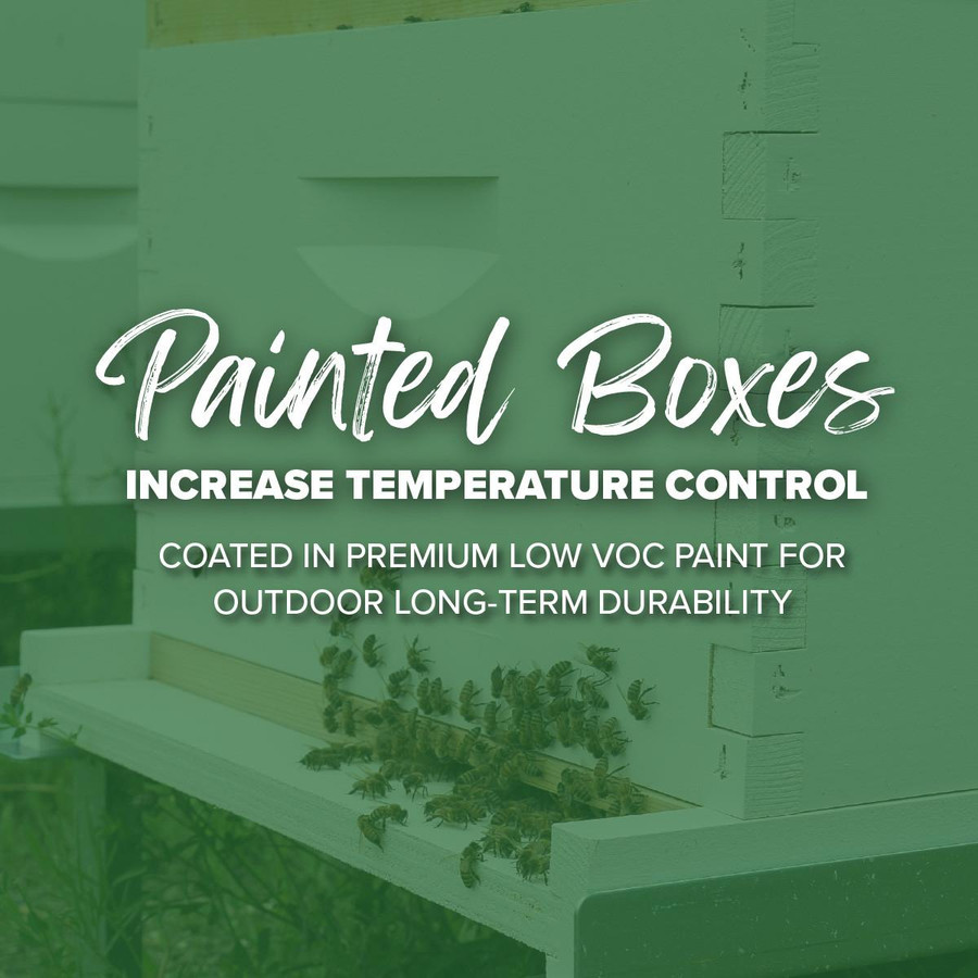 Assembled 9 5/8" Commercial Grade Deep Hive Box, Painted, AP100, Mann Lake Ltd.