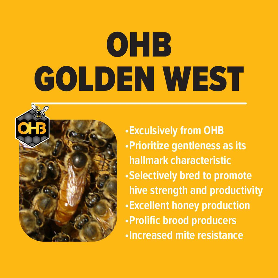 OHB Golden West Package Bee Characteristics OHB Golden West Package Bee Characteristics